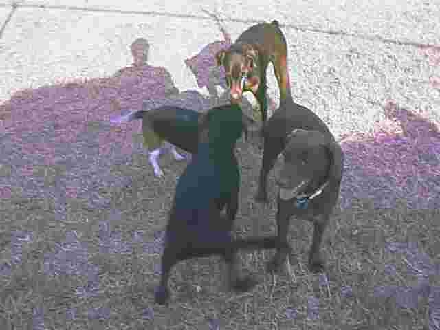 Playgroup 2