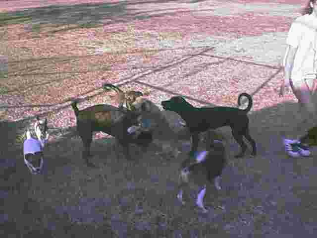 Playgroup 3
